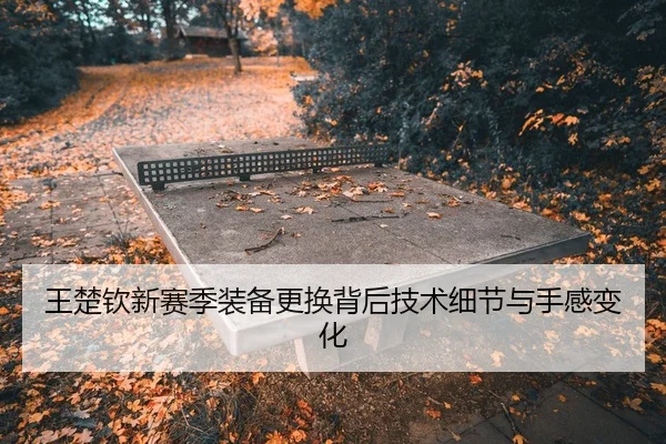 王楚钦新赛季装备更换背后技术细节与手感变化